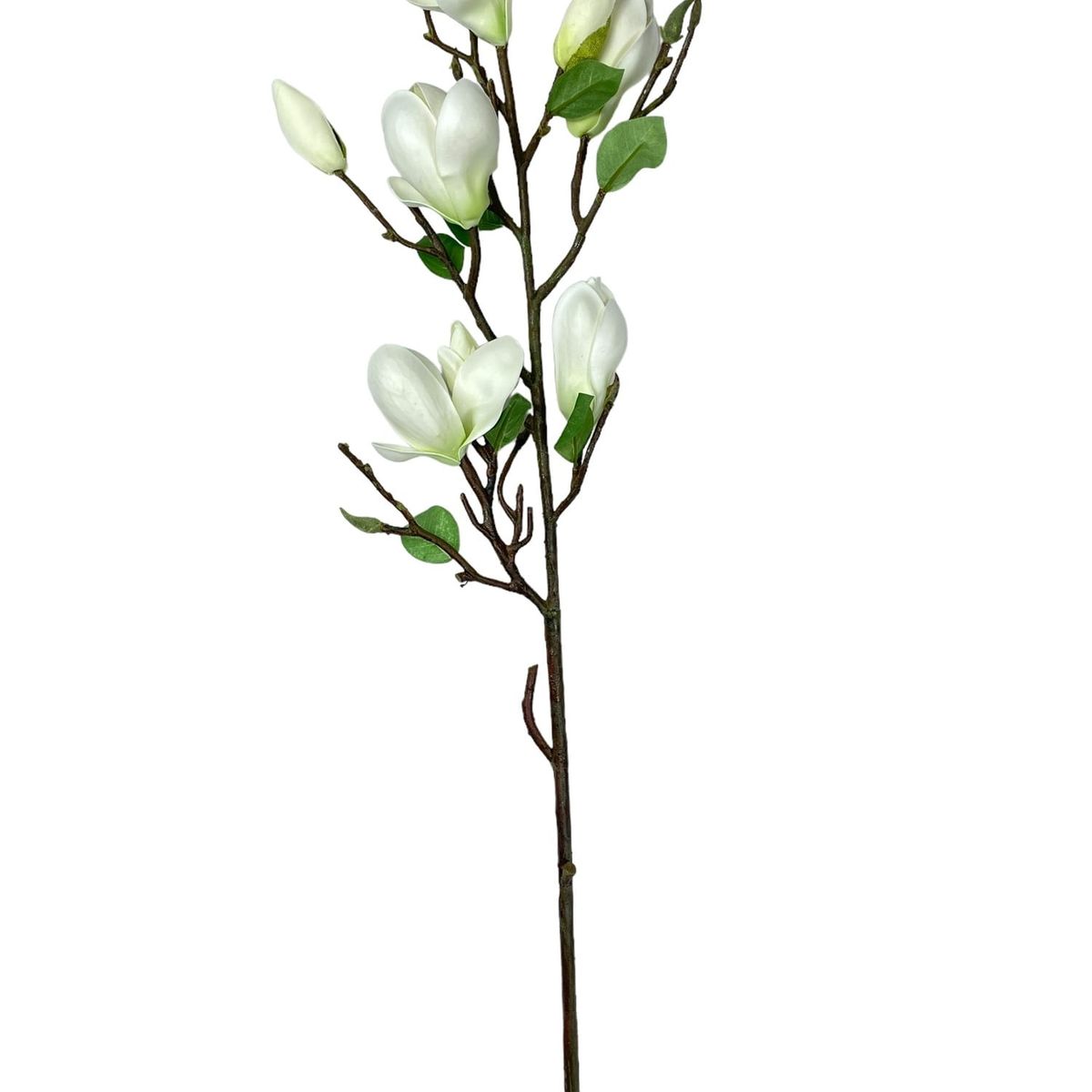 COREL - Magnolia Bud Stem Crema 84cm Con Acabado Natural