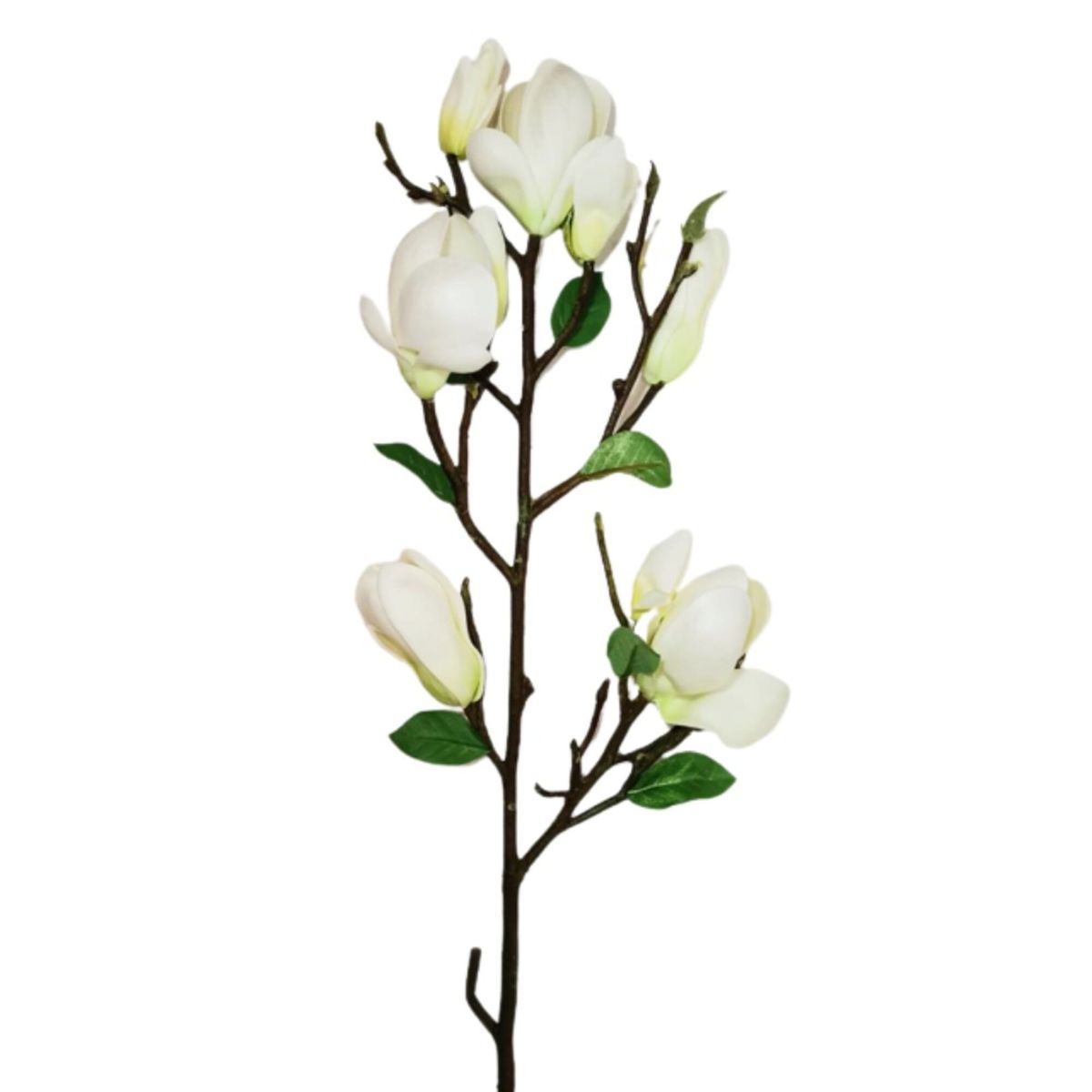 COREL - Magnolia Bud Stem Crema 84cm Con Acabado Natural