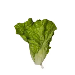 COREL - Lechuga Costina 17cm Artificial Con Detalles Realistas