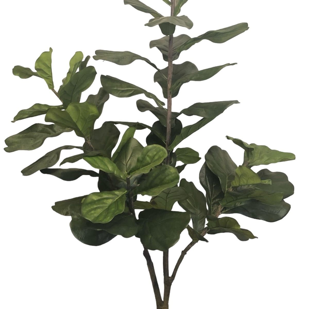 COREL - Árbol Ficus Lyrata 150cm Artificial