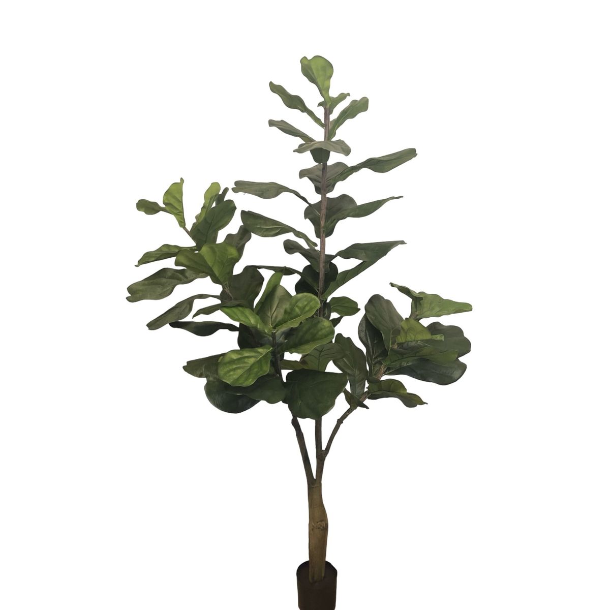 COREL - Árbol Ficus Lyrata 150cm Artificial