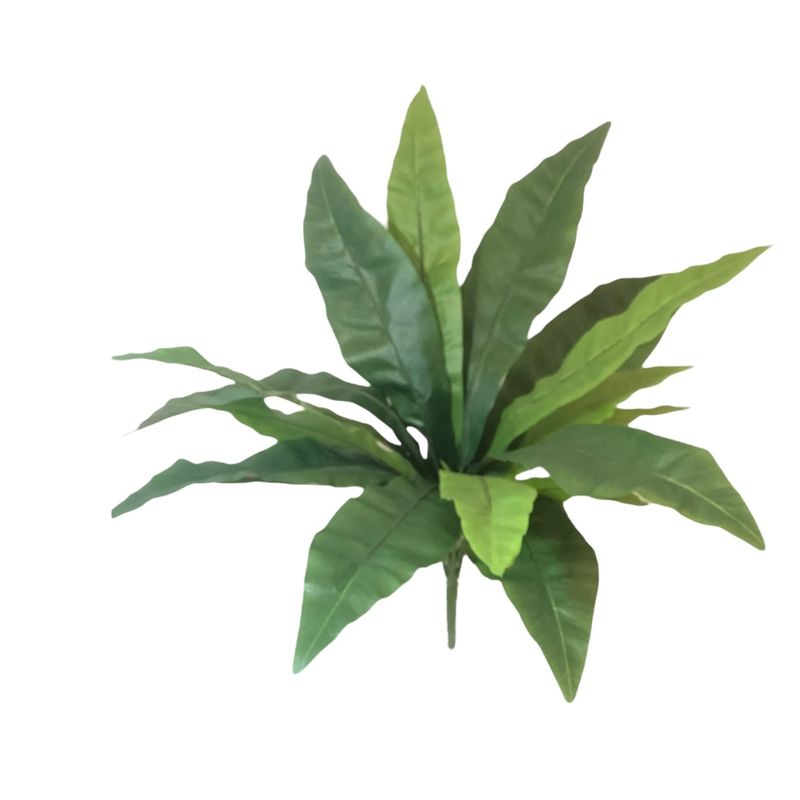 COREL - Planta Decorativa Helecho Nido De Pájaro 53cm