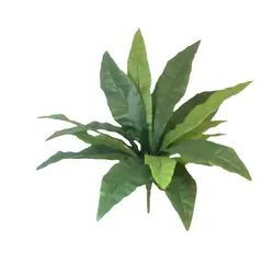 COREL - Planta Decorativa Helecho Nido De Pájaro 53cm
