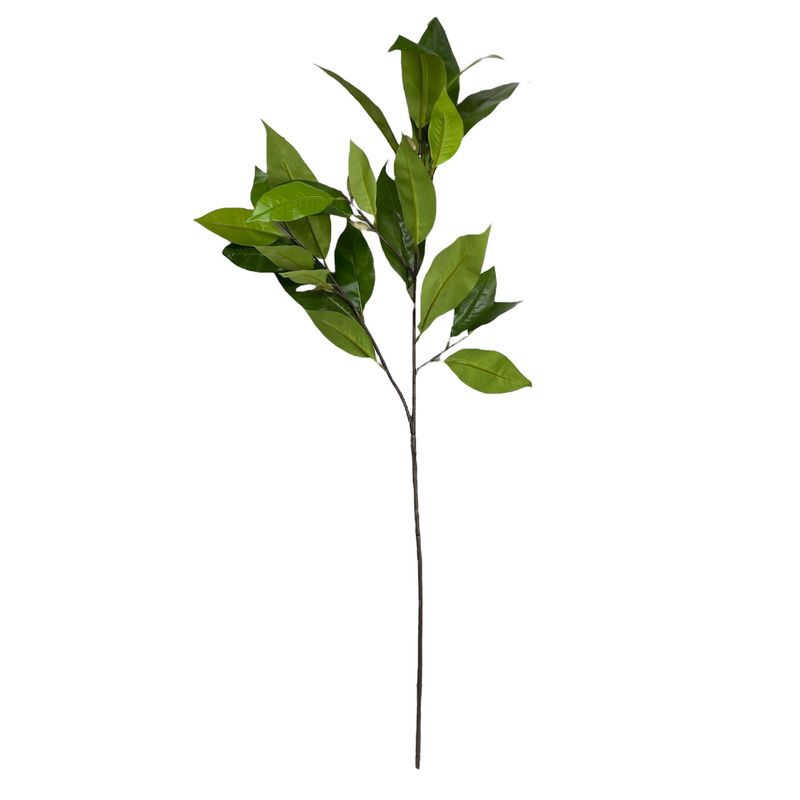 COREL - Rama Corel Magnolia Verde 104cm