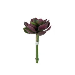 COREL - Cactus Decorativo Suculenta Burdeo-Verde 12cm