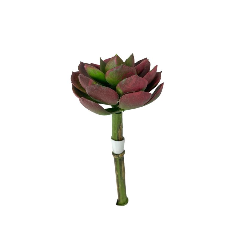 COREL - Cactus Decorativo Corel Suculenta Rojo-Verde 12cm