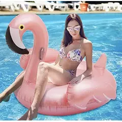 GENERICO - Flotador inflable gigante cisne piscina playa salvavidas 190cm