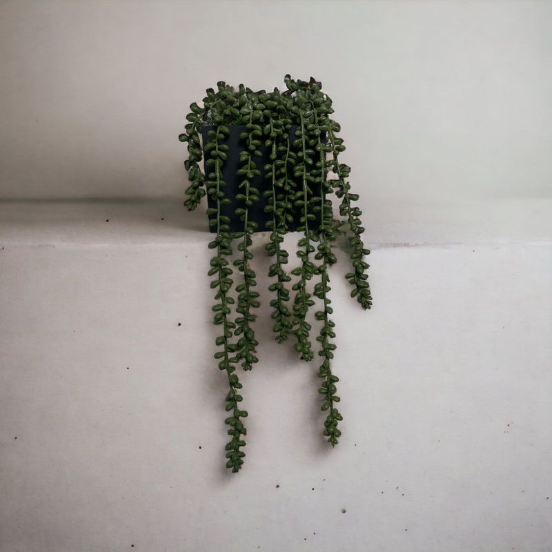 COREL - Arreglo De Cactus Rosario 50cm Con Acabado Natural