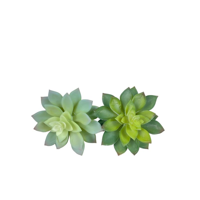 COREL - Suculenta Echeverria Gris 14cm