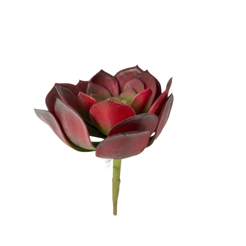 COREL - Suculenta Roja 16cm Con Detalles Increíbles