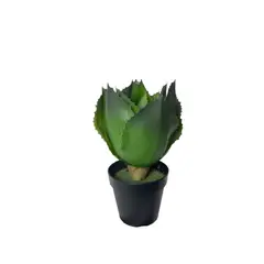COREL - Planta Decorativa Agave 28cm