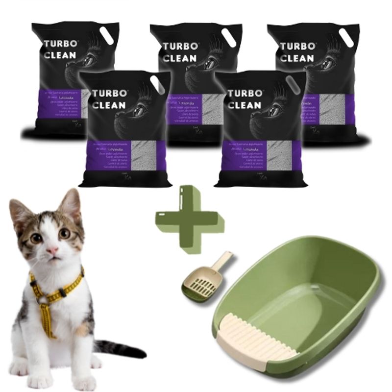 GENERICO - PACK 20K DE ARENA MÁS CAJA SANITARIA GATO INCLUYE PALA