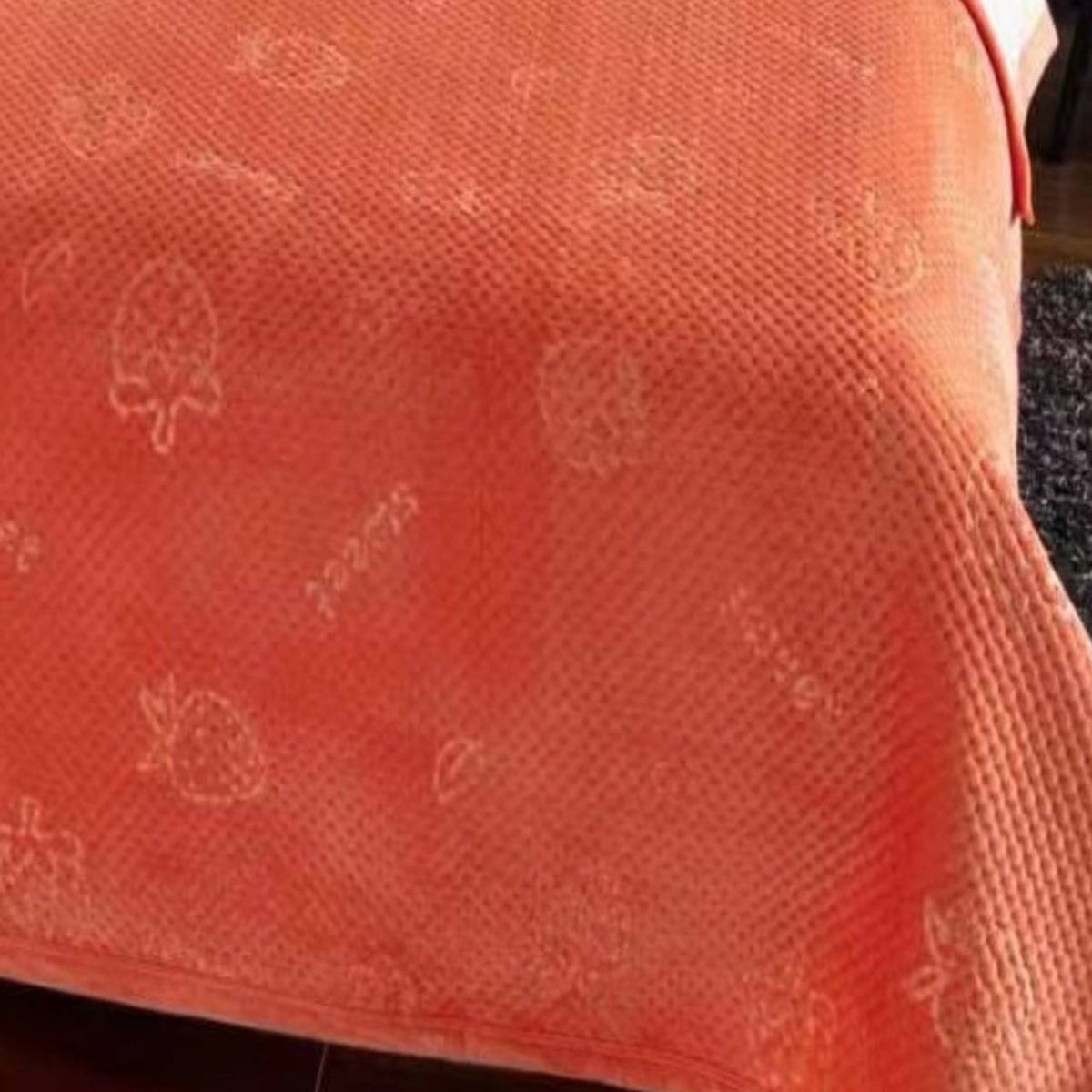 GENERICO - CUBRECAMA QUILT CON TELA PLUSH VERANO - INVIERNO