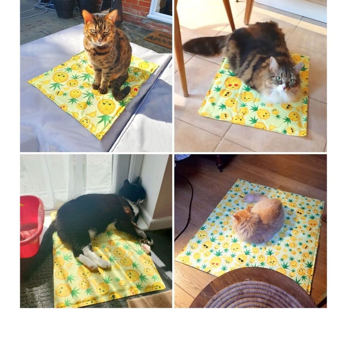 GENERICO - Manta refescante para mascota Talla S