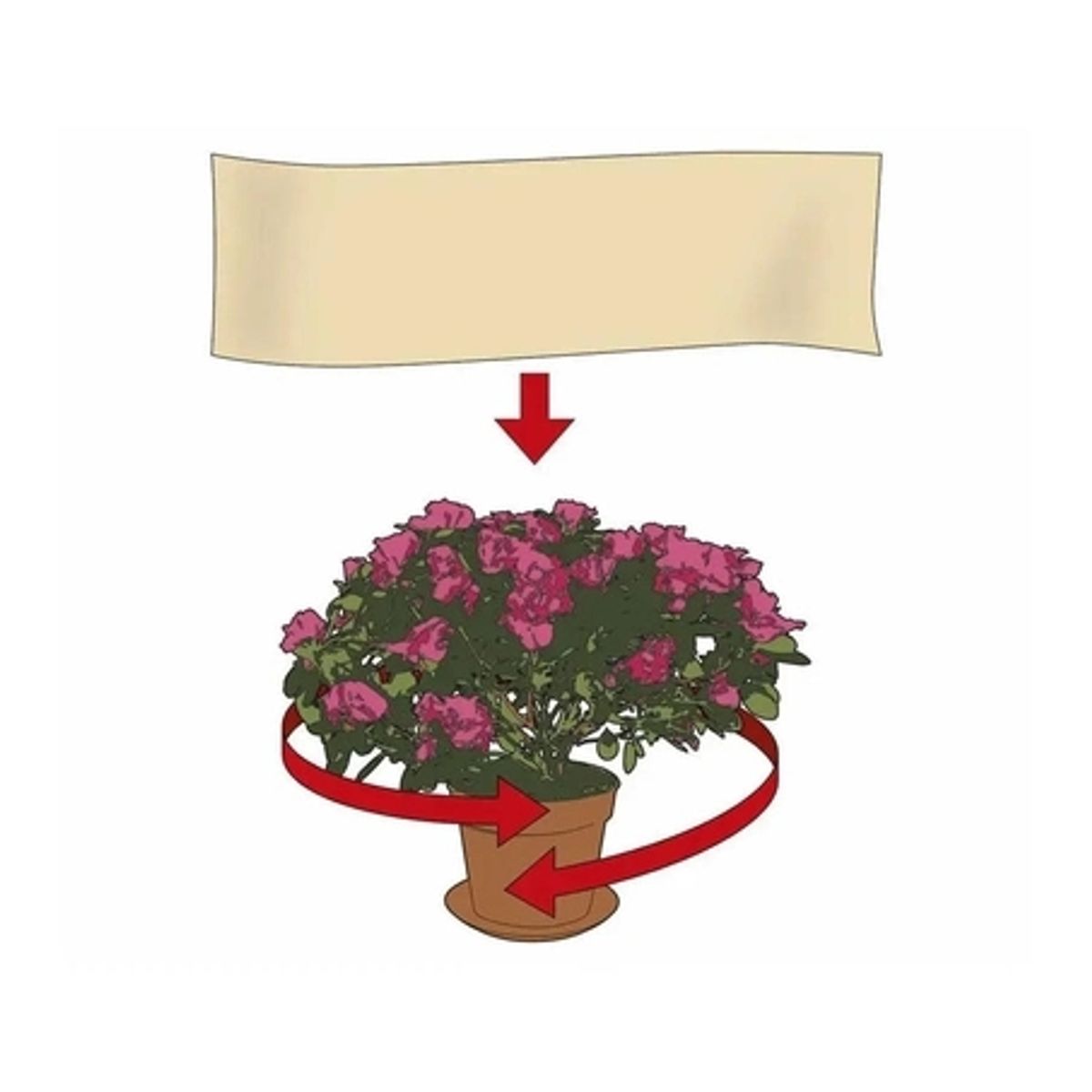 GENERICO - Tela anti heladas para plantas-Talla M