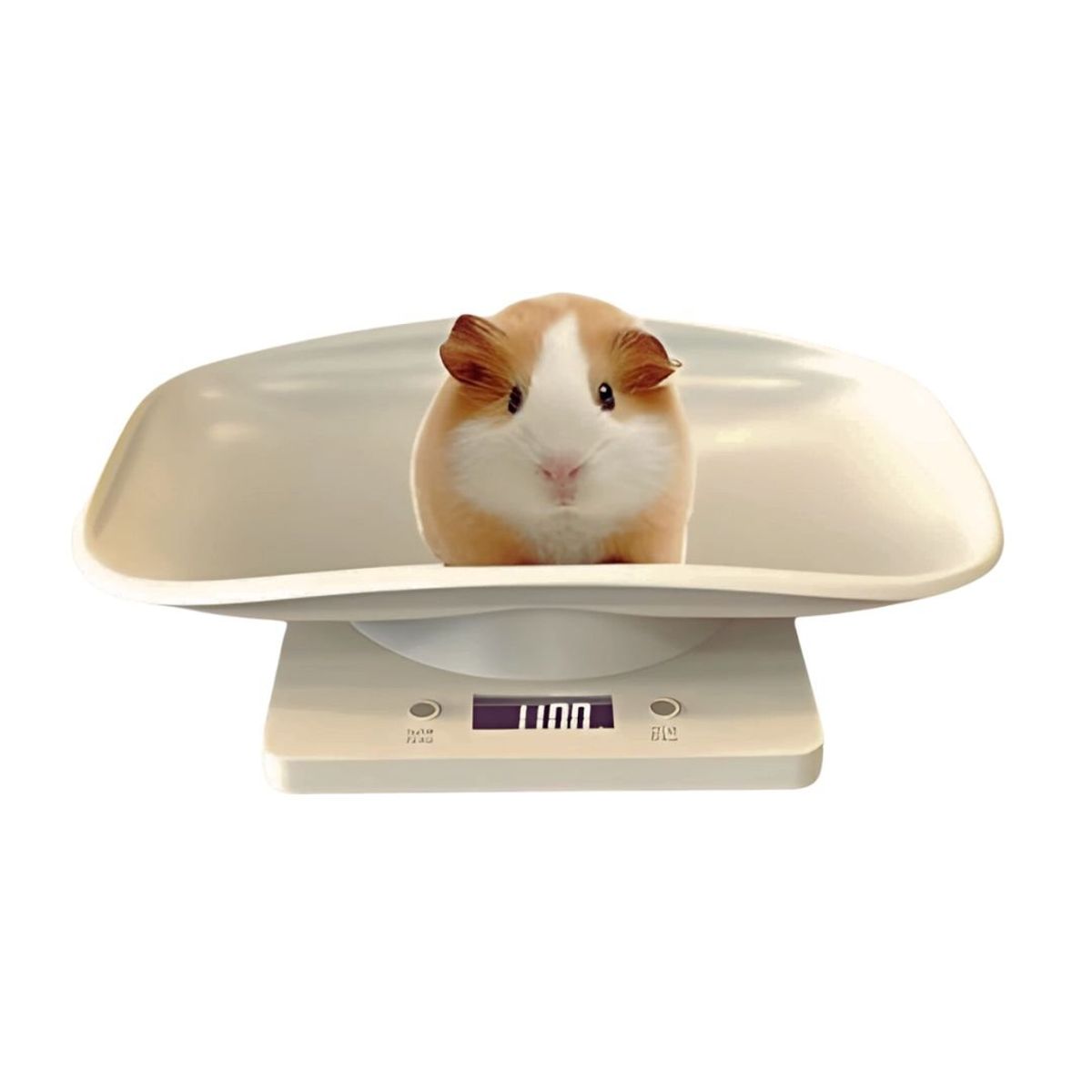 CRUSEC - Balanza Bascula Digital Para Mascotas Bebes LCD 10kg