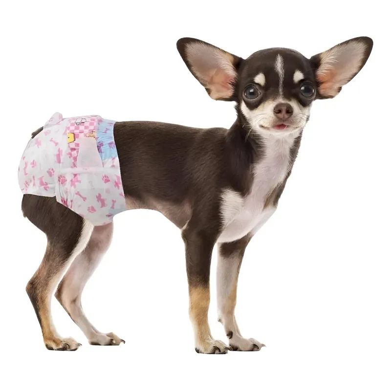 GENERICO - X30 Pañales Para Perros Pañales Para Perro Pañales Gato M