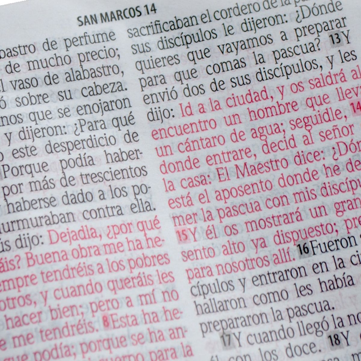 SOCIEDADES BIBLICAS UNIDAS - Biblia RVR 1960 Letra Gigante 14 Pts. Concordancia color lila