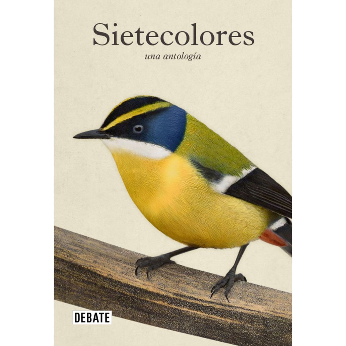 DEBATE - Sietecolores: Una Antologia