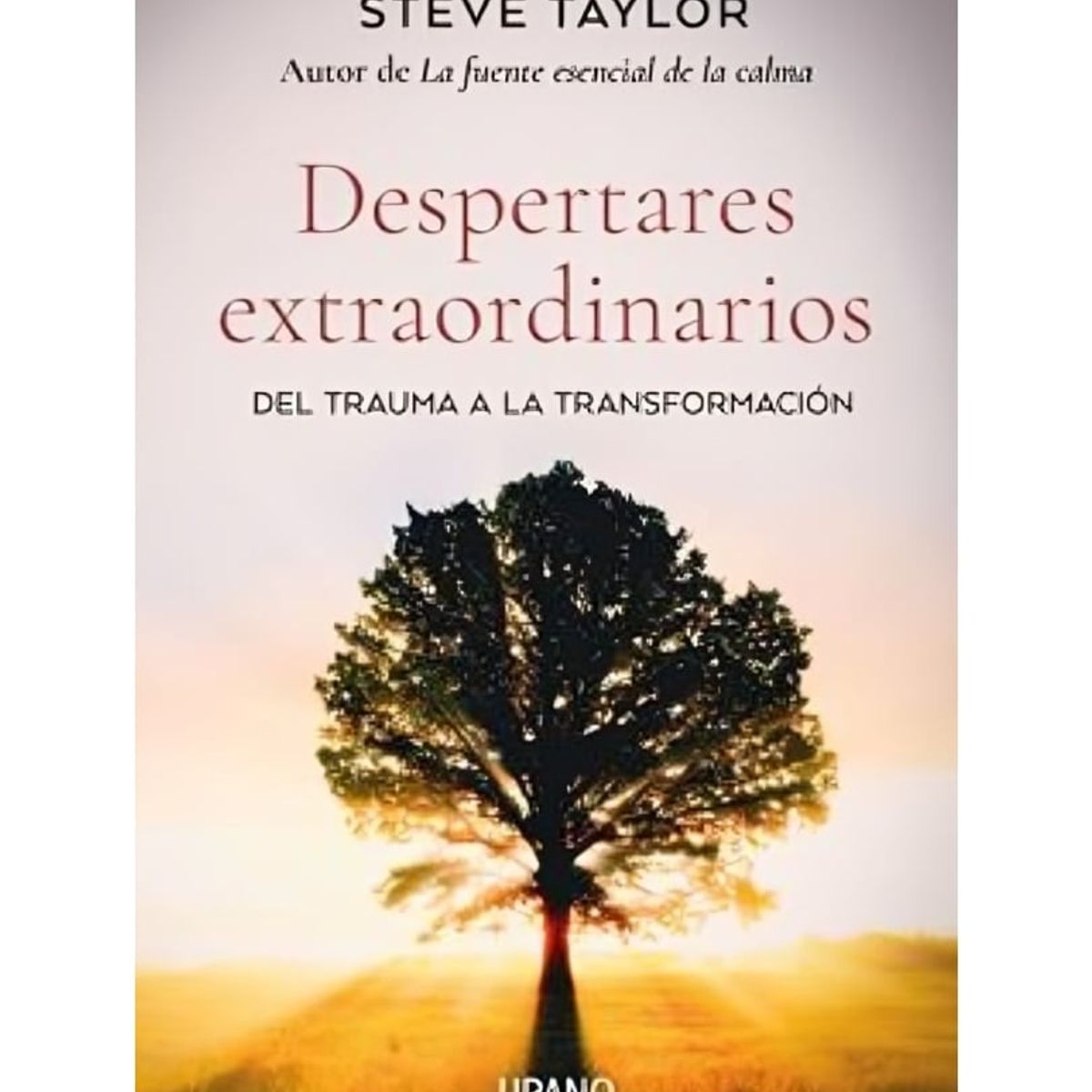 TOP10BOOKS - LIBRO Despertares Extraordinarios - Despertares Extraordinarios