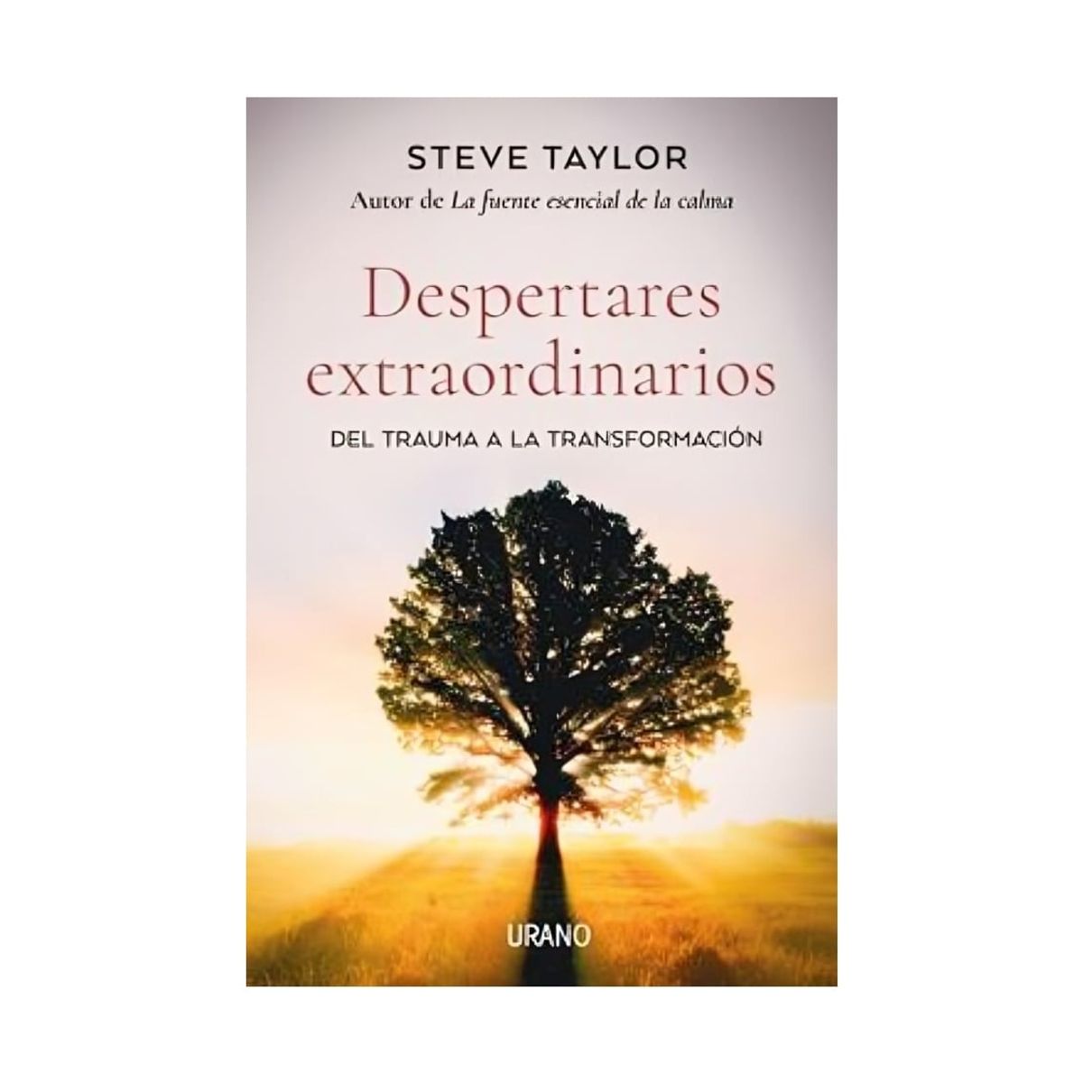 TOP10BOOKS - LIBRO Despertares Extraordinarios - Despertares Extraordinarios