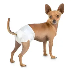 GENERICO - X30 Pañales Para Perros Pañales Para Perro Pañales Gato L