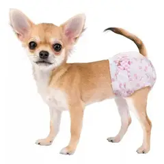 GENERICO - X30 Pañales Para Perros Pañales Para Perro Pañales Gato Xs