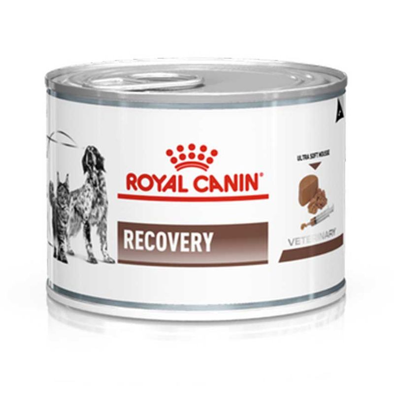 ROYAL CANIN - ROYAL CANIN LATA RECOVERY PERROS Y GATOS 145 GR