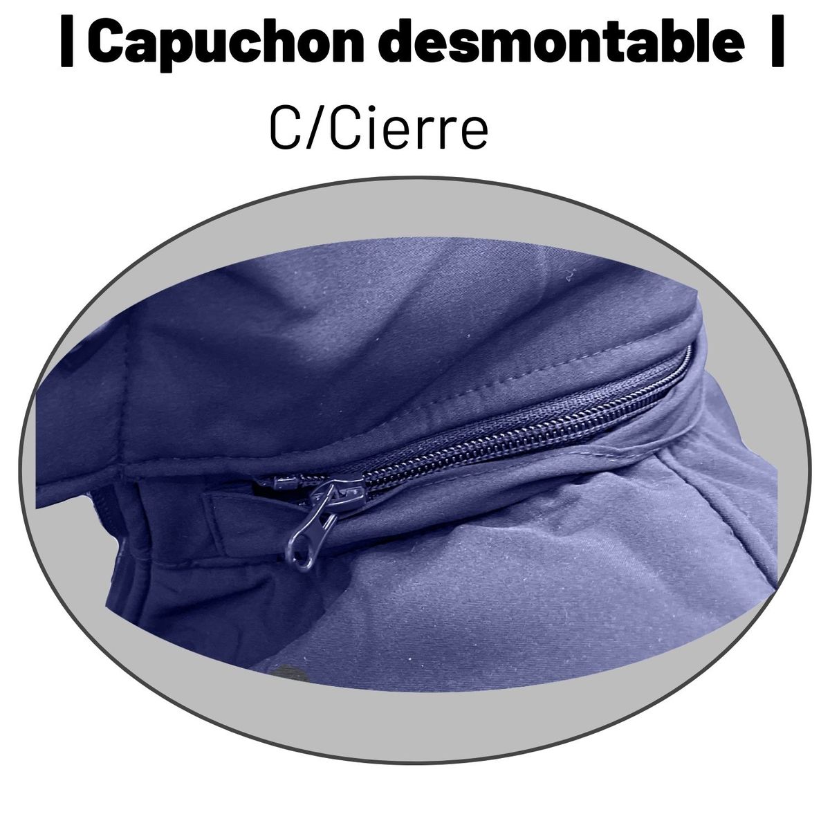 MR HENRY - Chaqueta Softshell - ESCOLAR - Mujer