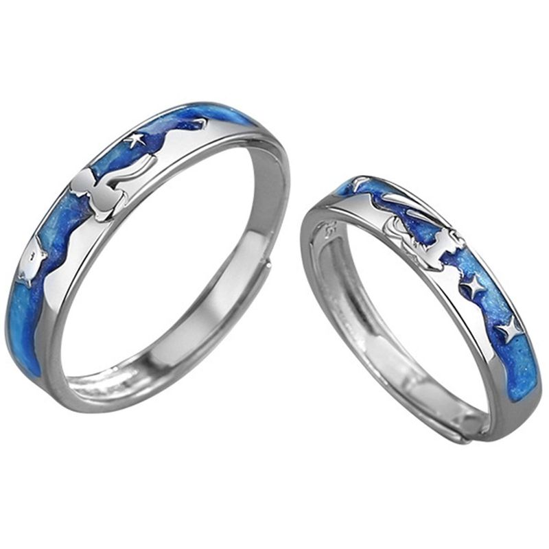 GENERICO - Anillos Alianzas Plata Fina 925 Ajustable Parejas Principito y Zorro