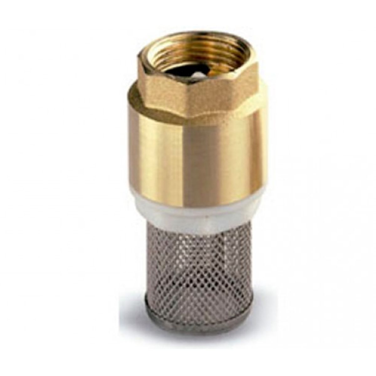 GENERICO - VALVULA DE RETENCION (DE PIE) 1 1/4