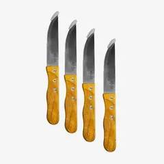 DECO EXPRESS - Set 4 Pcs Cuchillos Asado Lyn