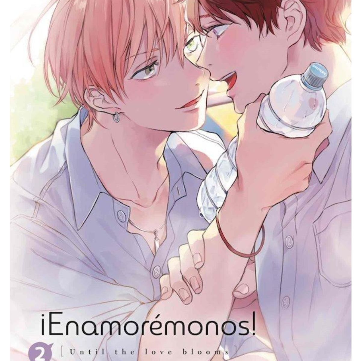 ARECHI ESPAÑA - Manga Enamoremonos 2 - Arechi
