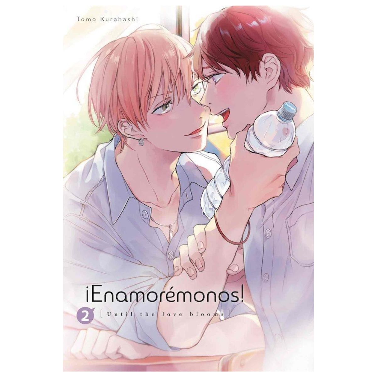ARECHI ESPAÑA - Manga Enamoremonos 2 - Arechi