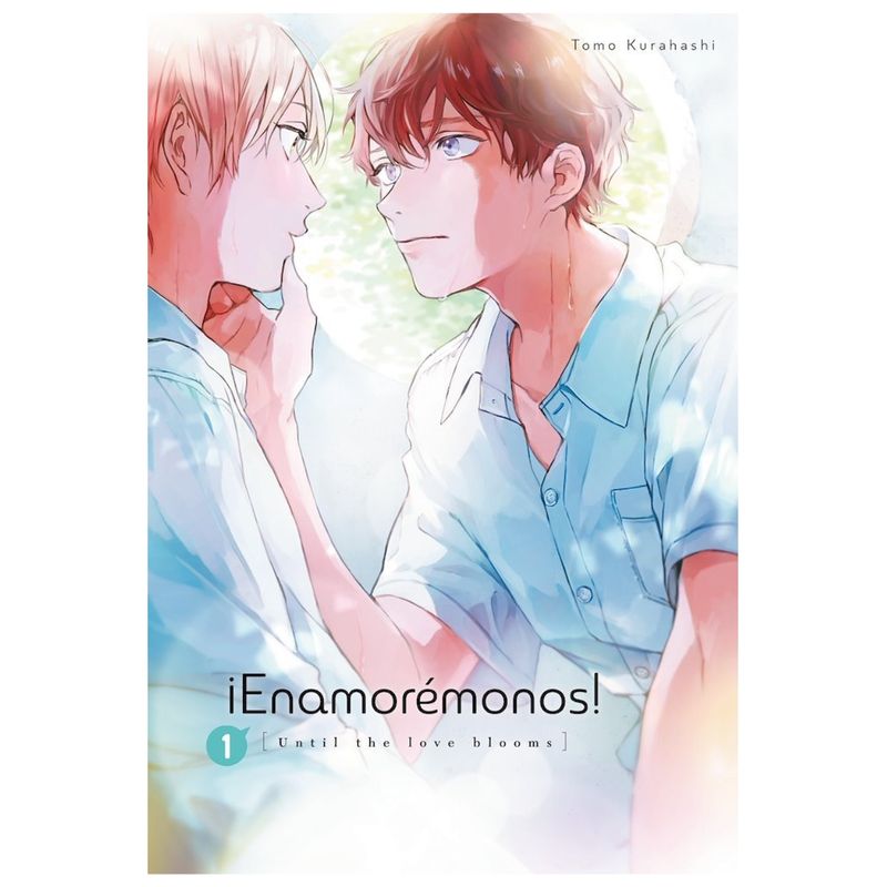 ARECHI ESPAÑA - Manga Enamoremonos 1 - Arechi