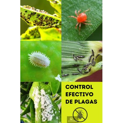 Imagen 2 del producto PROMO JABÓN POTÁSICO ACEITE NEEM 5LTS + FERTI ROSAS 1KG