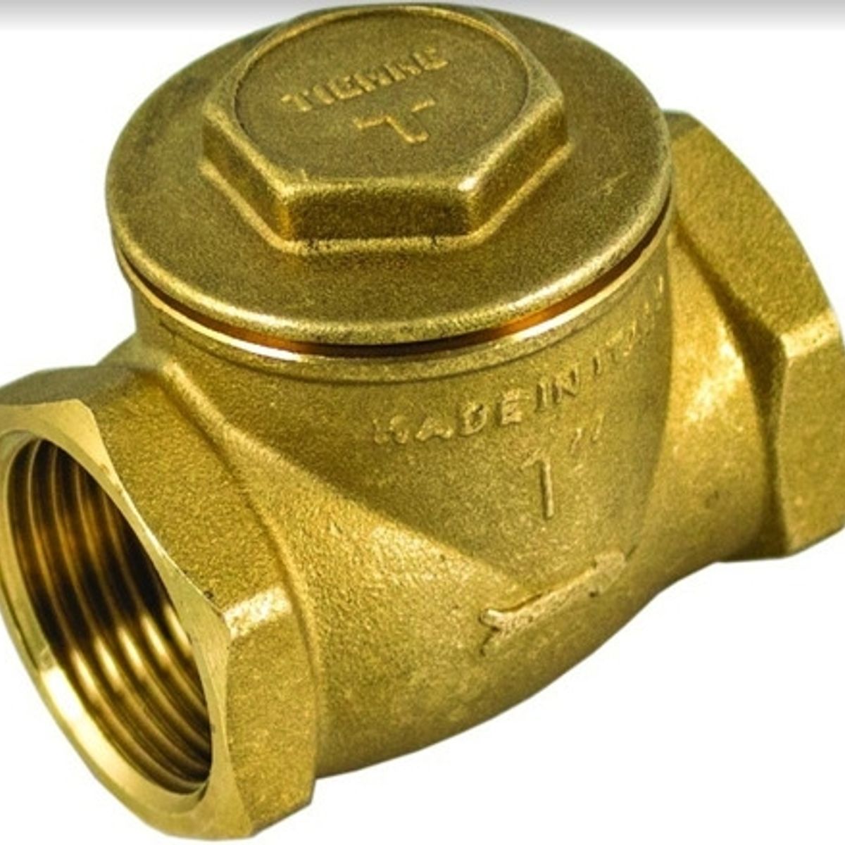 TIEMME - Valvula De Retención Chapaleta 2 1/2'' Tiemme