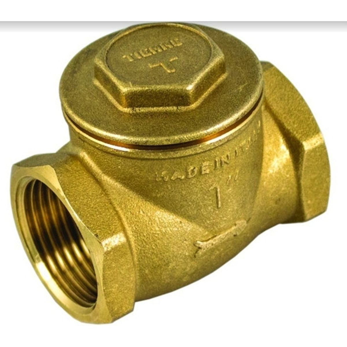 TIEMME - Valvula De Retención Chapaleta 2 1/2'' Tiemme