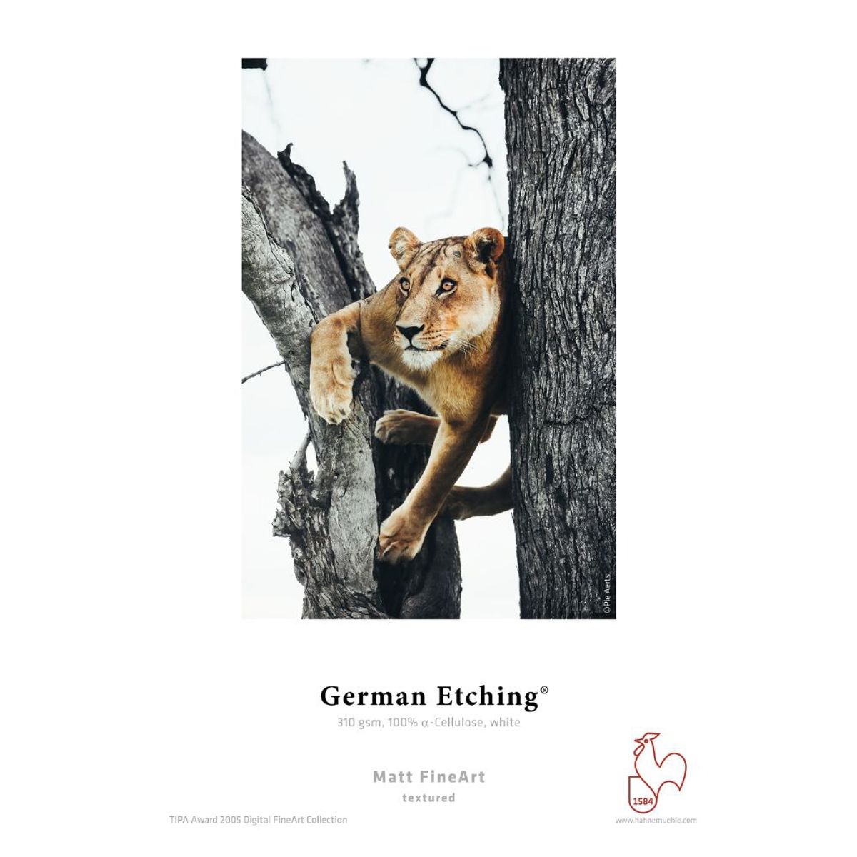 HAHNEMUHLE - Papel Digital Hahnemuhle German Etching 310gr A2 25 Hojas