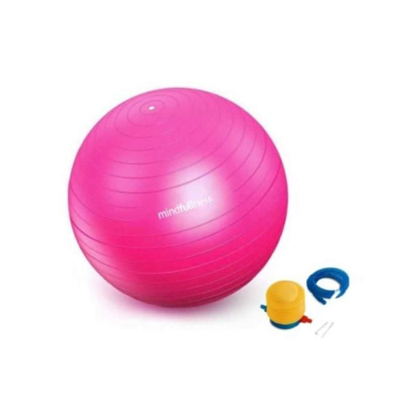 GENERICO - Balon Yoga Pilates Gym Gimnasia Fisioterapia Embarazo 75cm