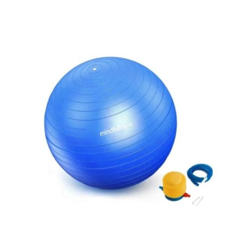 GENERICO - Balon Yoga Pilates Gym Gimnasia Fisioterapia Embarazo 65cm
