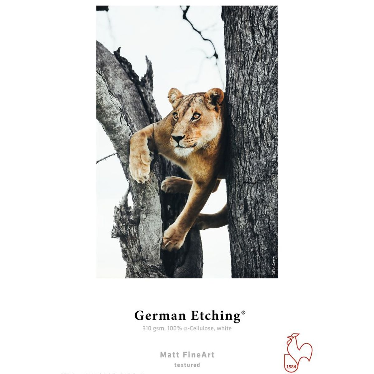 HAHNEMUHLE - Papel Digital Hahnemuhle German Etching 310gr A3+ 25 Hojas