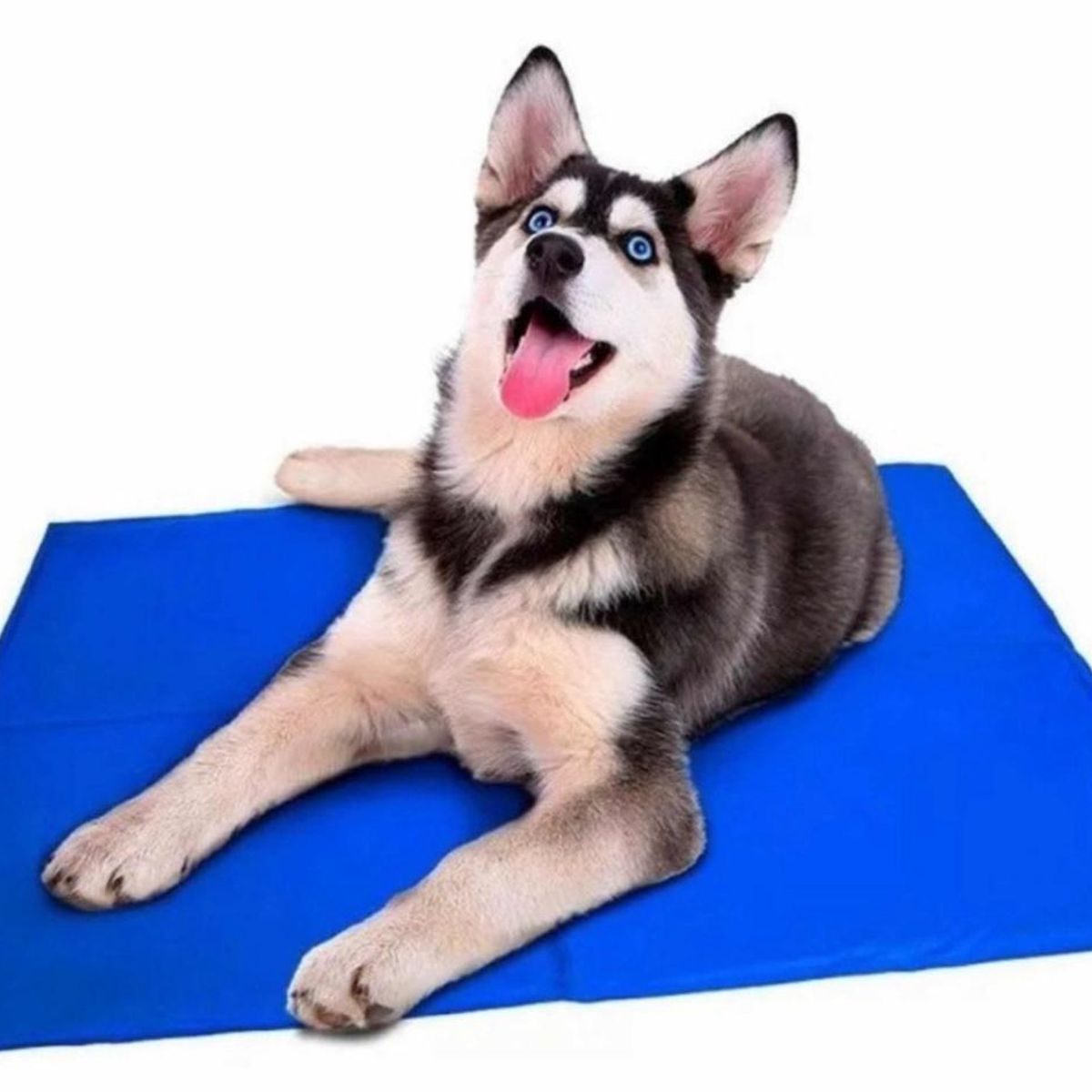 GENERICO - Manta Refrescante Para Mascotas Talla MD 50x65cm