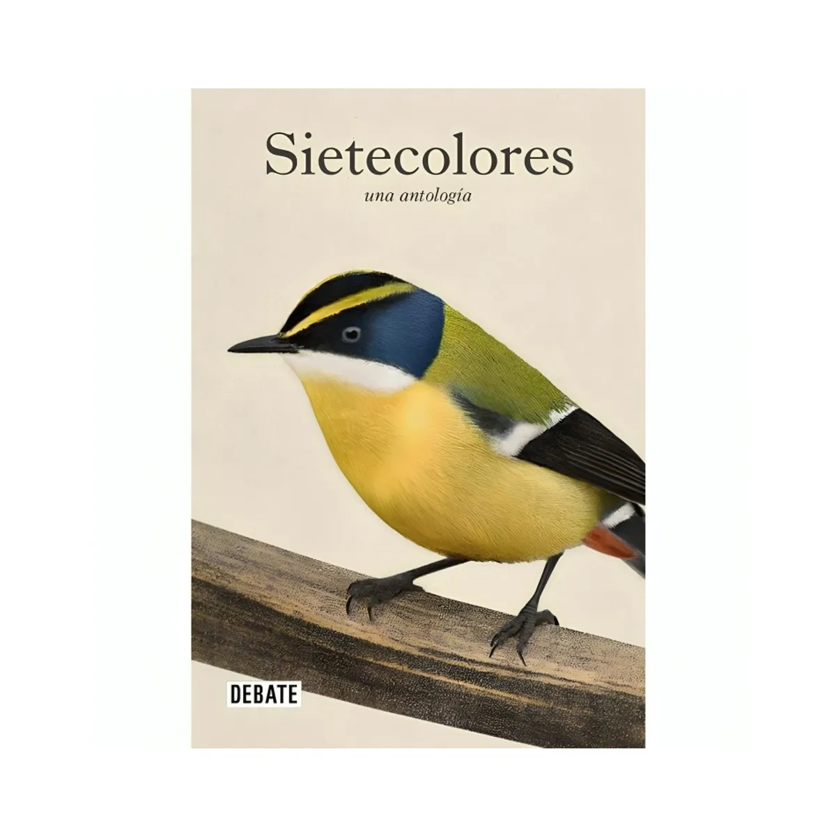 TOP10BOOKS - LIBRO SIETECOLORES: UNA ANTOLOGIA / CHARLES DARWIN; CLAUDIO G A Y; PABLO NERUDA /