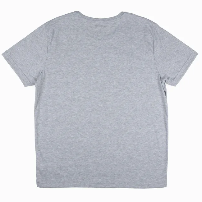 WARNER BROSS - Polera Hombre House Pride Gris Harry Potter