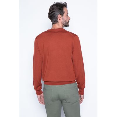 Imagen 2 del producto Sweater Lyon Rojo
