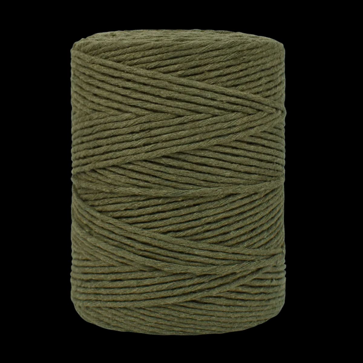 MODISTA - Algodón Macrame Peinado eco Modista Spesso 1Kg color 805