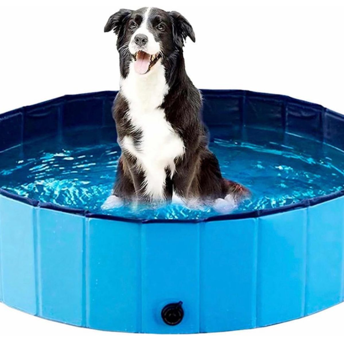 GENERICO - Piscina Plegable Para Mascotas Perro Ducha Verano 80x20cm