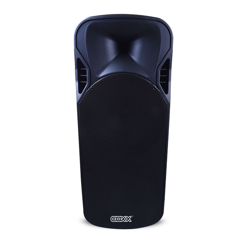 COXX - CAJA ACUSTICA PORTABLE 2X15 CON MICROFONO COXX