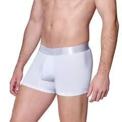 BAZIANI - Boxer Microfibra Hombre 5413.-
